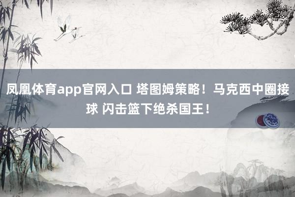 凤凰体育app官网入口 塔图姆策略！马克西中圈接球 闪击篮下绝杀国王！