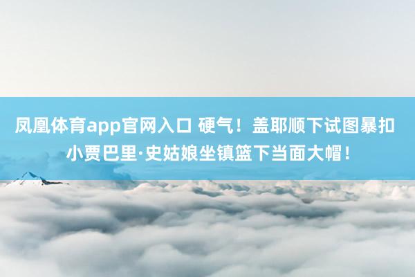 凤凰体育app官网入口 硬气！盖耶顺下试图暴扣 小贾巴里·史姑娘坐镇篮下当面大帽！