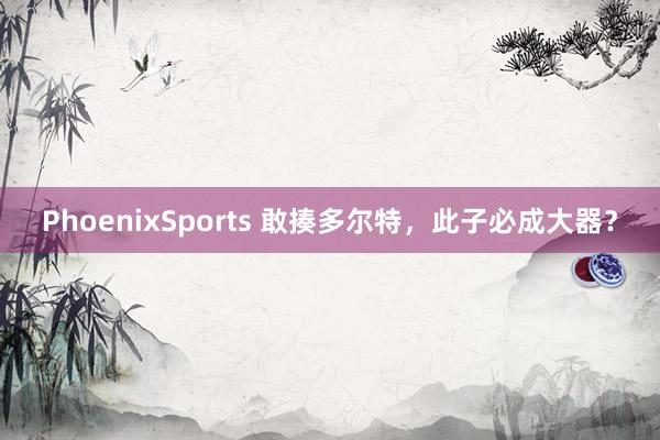PhoenixSports 敢揍多尔特，此子必成大器？