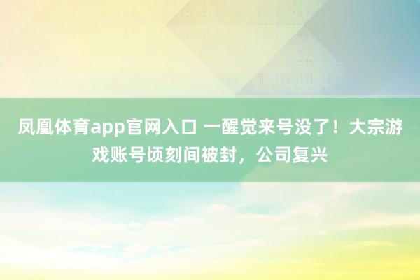 凤凰体育app官网入口 一醒觉来号没了！大宗游戏账号顷刻间被封，公司复兴