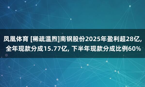凤凰体育 [稀疏温煦]南钢股份2025年盈利超28亿, 全年现款分成15.77亿, 下半年现款分成比例60%