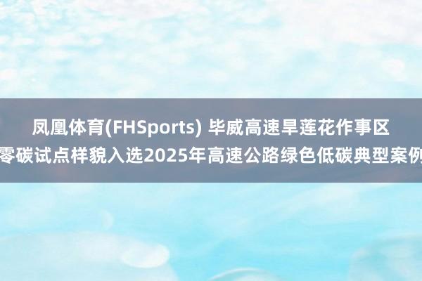 凤凰体育(FHSports) 毕威高速旱莲花作事区零碳试点样貌入选2025年高速公路绿色低碳典型案例