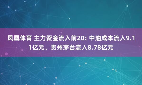 凤凰体育 主力资金流入前20: 中油成本流入9.11亿元、贵州茅台流入8.78亿元