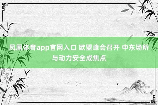 凤凰体育app官网入口 欧盟峰会召开 中东场所与动力安全成焦点