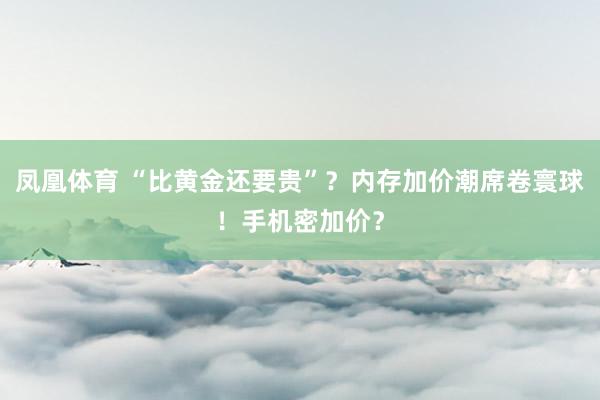 凤凰体育 “比黄金还要贵”？内存加价潮席卷寰球！手机密加价？