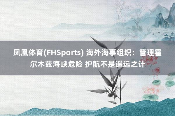 凤凰体育(FHSports) 海外海事组织：管理霍尔木兹海峡危险 护航不是遥远之计