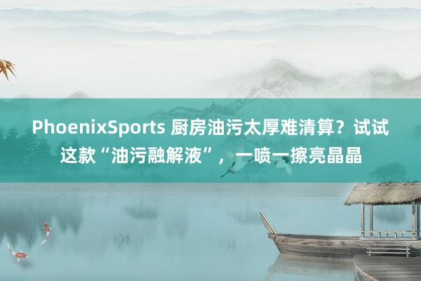 PhoenixSports 厨房油污太厚难清算？试试这款“油污融解液”，一喷一擦亮晶晶