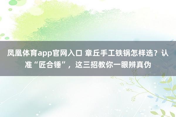 凤凰体育app官网入口 章丘手工铁锅怎样选？认准“匠合锤”，这三招教你一眼辨真伪