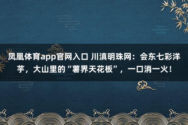 凤凰体育app官网入口 川滇明珠网：会东七彩洋芋，大山里的“薯界天花板”，一口消一火！