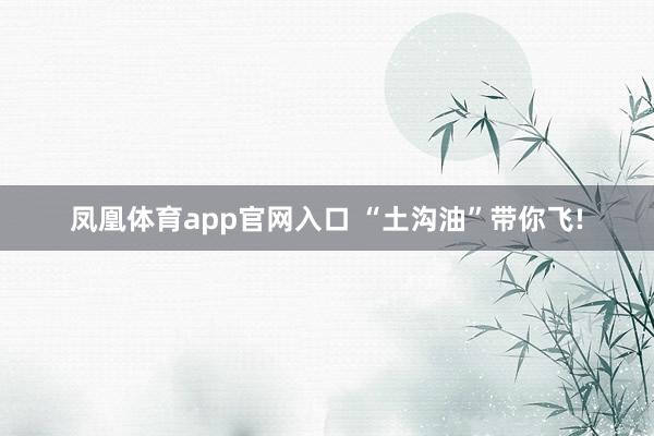 凤凰体育app官网入口 “土沟油”带你飞!
