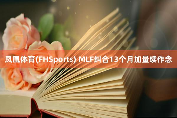 凤凰体育(FHSports) MLF纠合13个月加量续作念