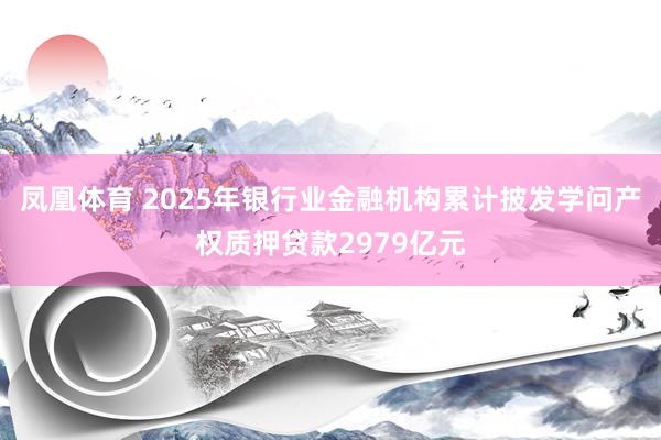 凤凰体育 2025年银行业金融机构累计披发学问产权质押贷款2979亿元