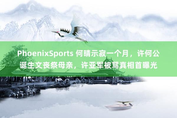 PhoenixSports 何晴示寂一个月，许何公诞生文丧祭母亲，许亚军被骂真相首曝光