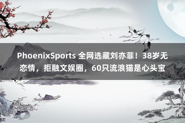 PhoenixSports 全网选藏刘亦菲！38岁无恋情，拒融文娱圈，60只流浪猫是心头宝