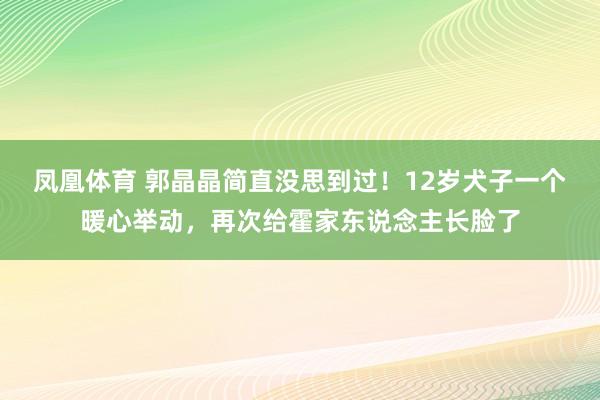 凤凰体育 郭晶晶简直没思到过！12岁犬子一个暖心举动，再次给霍家东说念主长脸了