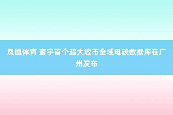 凤凰体育 寰宇首个超大城市全域电碳数据库在广州发布
