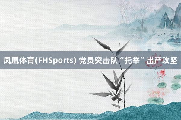 凤凰体育(FHSports) 党员突击队“托举”出产攻坚