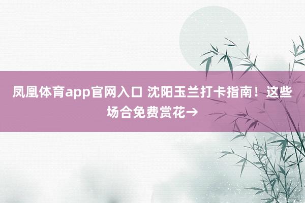 凤凰体育app官网入口 沈阳玉兰打卡指南！这些场合免费赏花→