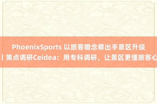 PhoenixSports 以旅客瞻念察出手景区升级｜策点调研Ceidea：用专科调研，让景区更懂旅客心