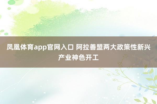 凤凰体育app官网入口 阿拉善盟两大政策性新兴产业神色开工
