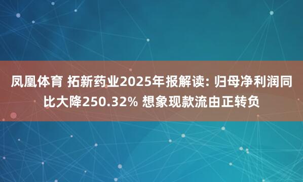凤凰体育 拓新药业2025年报解读: 归母净利润同比大降250.32% 想象现款流由正转负