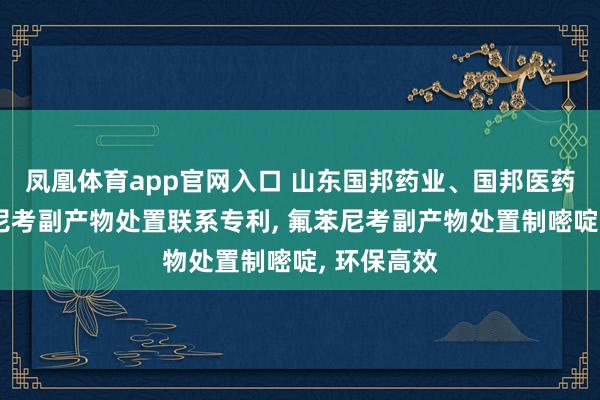 凤凰体育app官网入口 山东国邦药业、国邦医药央求氟苯尼考副产物处置联系专利, 氟苯尼考副产物处置制嘧啶, 环保高效