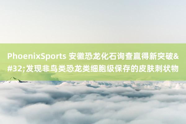 PhoenixSports 安徽恐龙化石询查赢得新突破 发现非鸟类恐龙类细胞级保存的皮肤刺状物