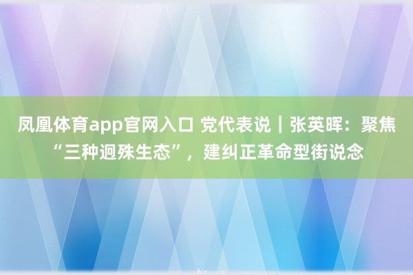 凤凰体育app官网入口 党代表说｜张英晖：聚焦“三种迥殊生态”，建纠正革命型街说念