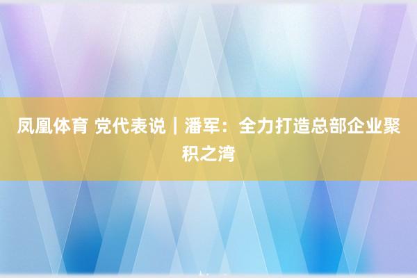 凤凰体育 党代表说｜潘军：全力打造总部企业聚积之湾