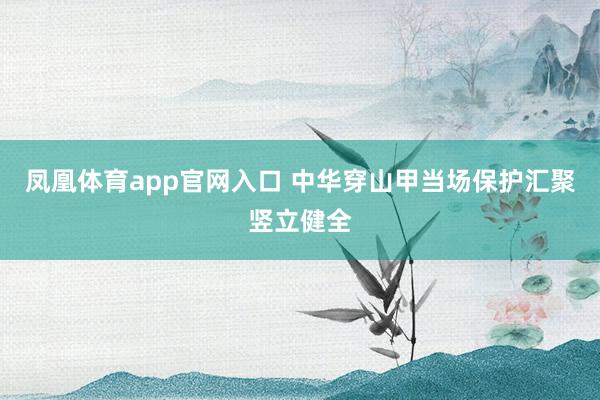 凤凰体育app官网入口 中华穿山甲当场保护汇聚竖立健全
