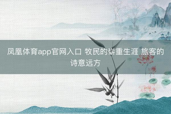 凤凰体育app官网入口 牧民的崭重生涯 旅客的诗意远方