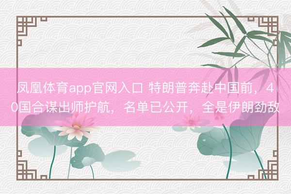 凤凰体育app官网入口 特朗普奔赴中国前，40国合谋出师护航，名单已公开，全是伊朗劲敌
