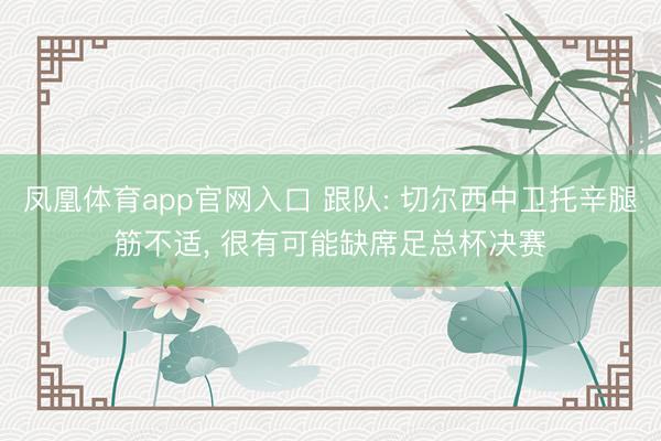 凤凰体育app官网入口 跟队: 切尔西中卫托辛腿筋不适, 很有可能缺席足总杯决赛