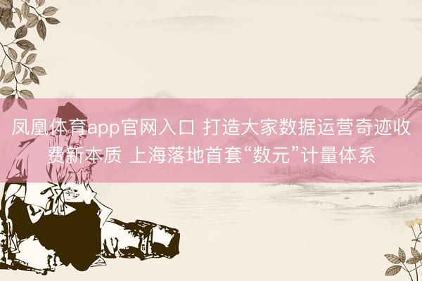 凤凰体育app官网入口 打造大家数据运营奇迹收费新本质 上海落地首套“数元”计量体系