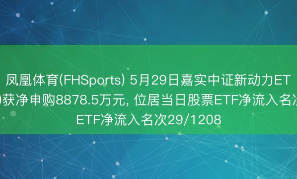 凤凰体育(FHSports) 5月29日嘉实中证新动力ETF(159875)获净申购8878.5万元， 位居当日股票ETF净流入名次29/1208