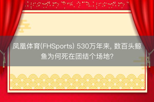 凤凰体育(FHSports) 530万年来, 数百头鲸鱼为何死在团结个场地?