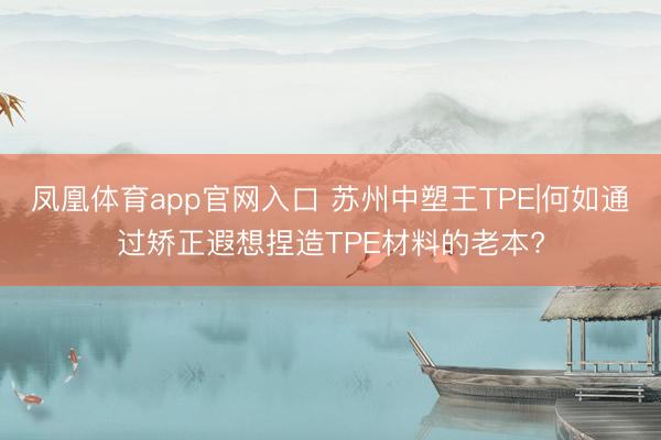 凤凰体育app官网入口 苏州中塑王TPE|何如通过矫正遐想捏造TPE材料的老本?