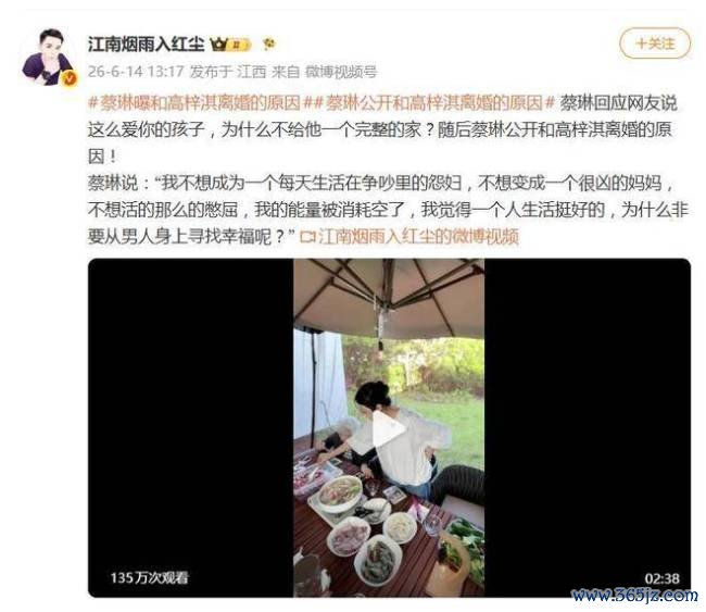 蔡琳首度公开与高梓淇六年跨国婚配闭幕的原因 争吵与压抑铺张了我