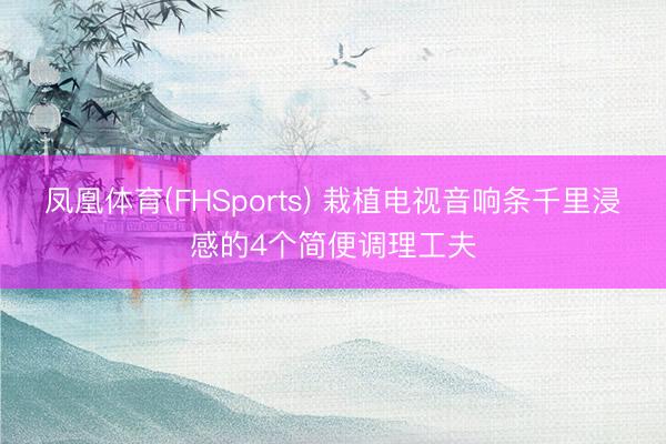 凤凰体育(FHSports) 栽植电视音响条千里浸感的4个简便调理工夫