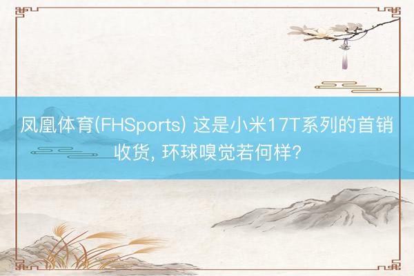 凤凰体育(FHSports) 这是小米17T系列的首销收货, 环球嗅觉若何样?